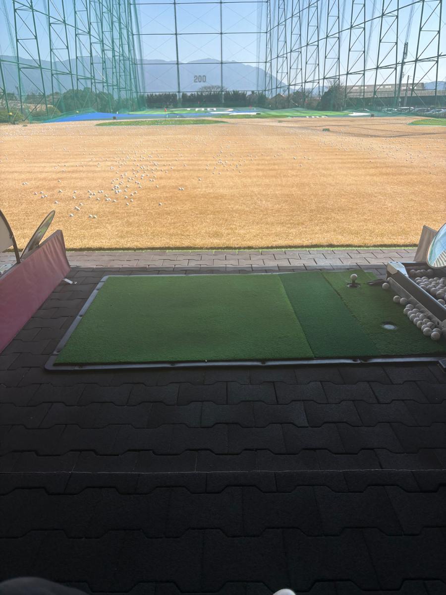 今日は… - 青空（せいら）の日記